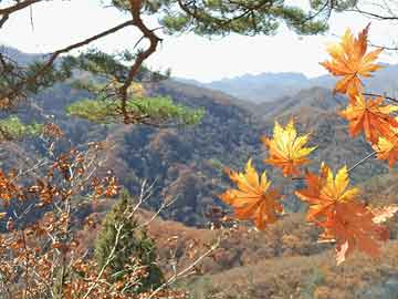 水滴保冉偉：緊扣保險(xiǎn)高質(zhì)量發(fā)展脈絡(luò) 借金融科技之力促普惠保障行穩(wěn)致遠(yuǎn)